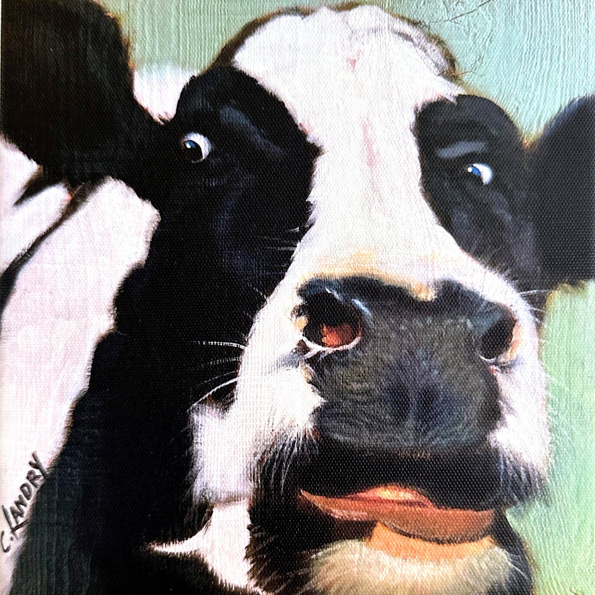 Cow Art, 'Ricky C', Painted by Ricky's Yiya, Artist Carol Landry, 8"x 8" Collection
