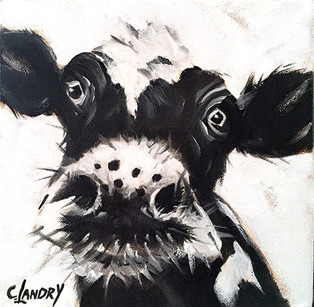 Cow on Canvas on a 8"x 8" Wrapped Canvas, Willie Whiskers, Wall Art
