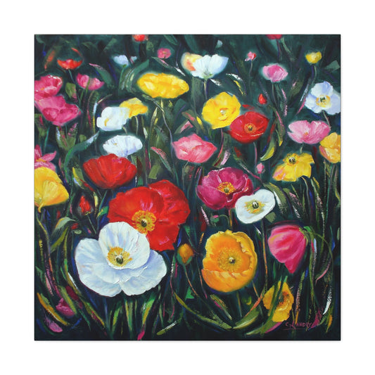 Poppies on Canvas Gallery Wraps, Colorful Poppies