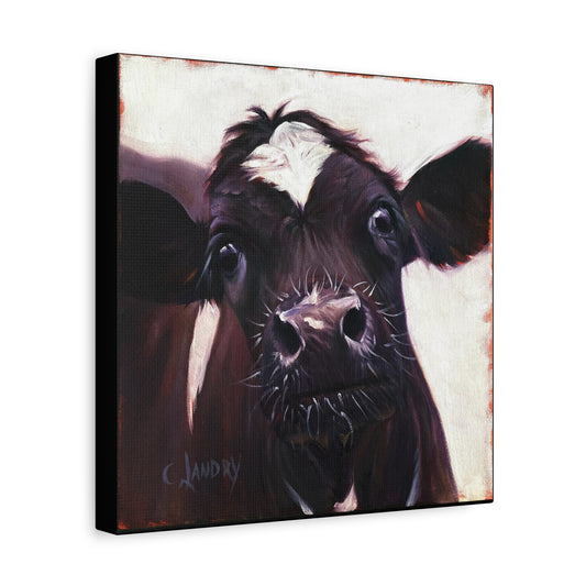 Maddie Cow, Matte Canvas, Stretched, 1.25