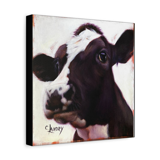 Daisy Cow, Matte Canvas, Stretched, 1.25