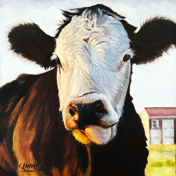 Cow Canvas Wall Art,  Painted by Artist Carol Landry, 8"x 8" Reproductions on Canvas