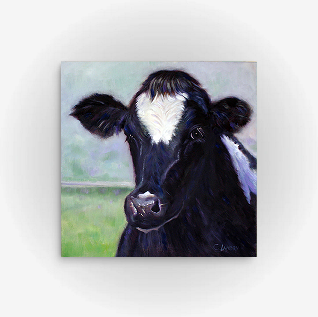 Cow Wall Art, 'Black Cow Portrait', 8"x 8" Reproduction on Canvas by Artist Carol Landry