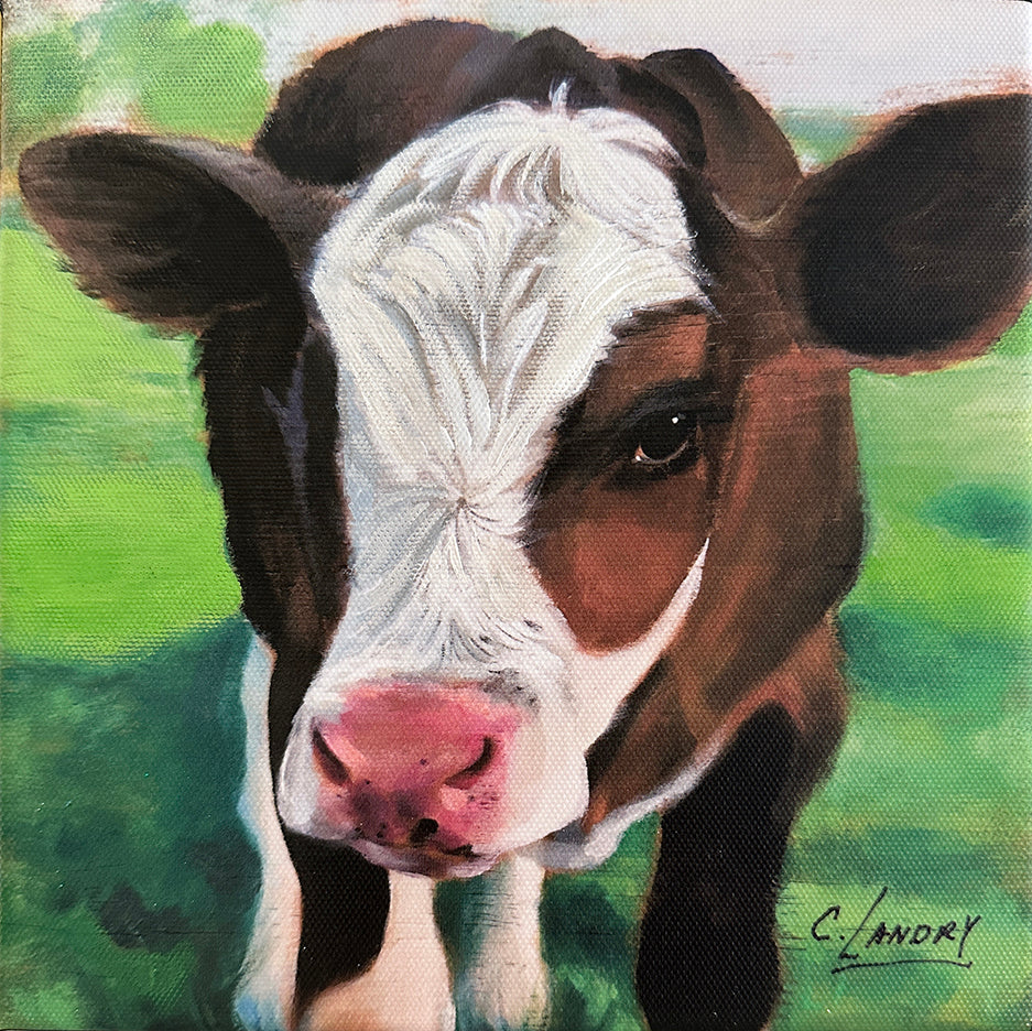 Cow Canvas Wall Art Reproduction on a 8"x 8" Canvas, Painted by Artist Carol Landry