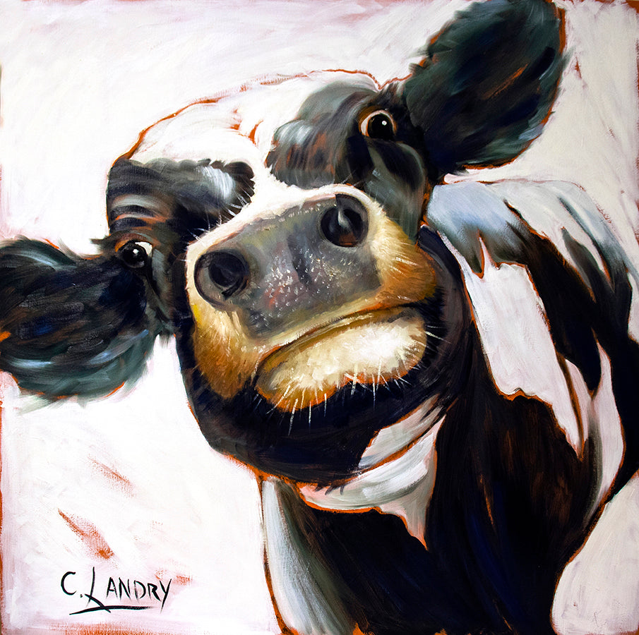 Cow Wall Art, 'Close Up Cow', Reproduction on 8"x 8" Wrapped Canvas By Artist Carol Landry