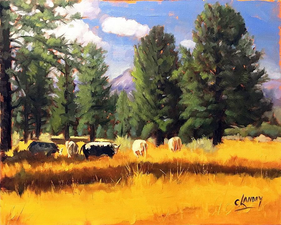 Cows Grazing in Garner Valley, Painted by Artist Carol Landry, A 11"x 14" Reproduction on Canvas