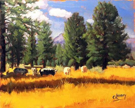 Cows Grazing in Garner Valley, Painted by Artist Carol Landry, A 11