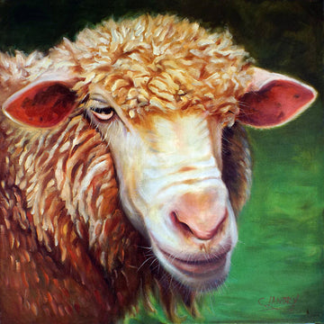 Wall Art, Sheep Painting, 'Don't Baather Me', by Artist Carol Landry, 8"x 8" Copy on Canvas