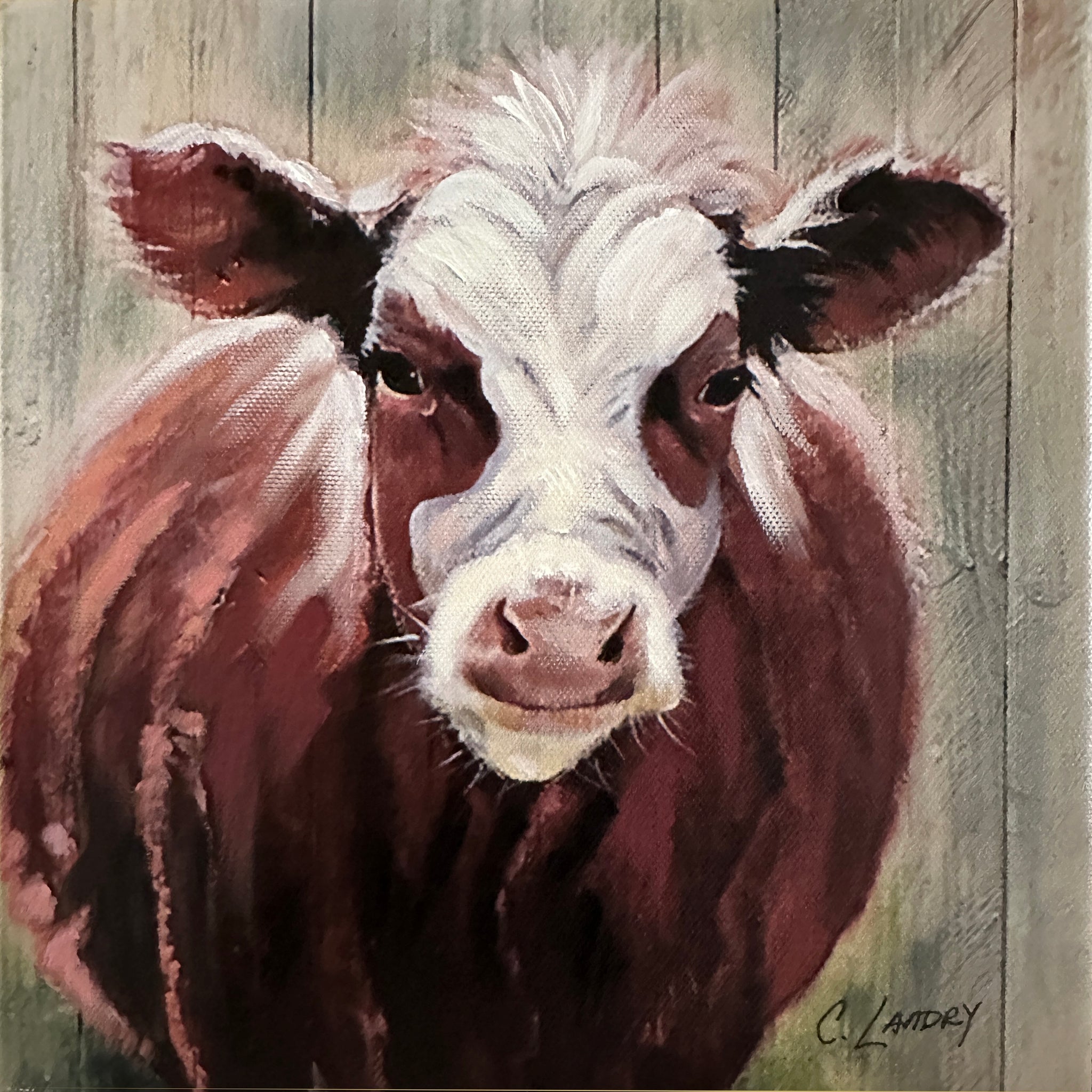 Cow Wall Art, 'Hereford Cow Artwork', by Artist Carol Landry, 8"x 8" Copy on Canvas