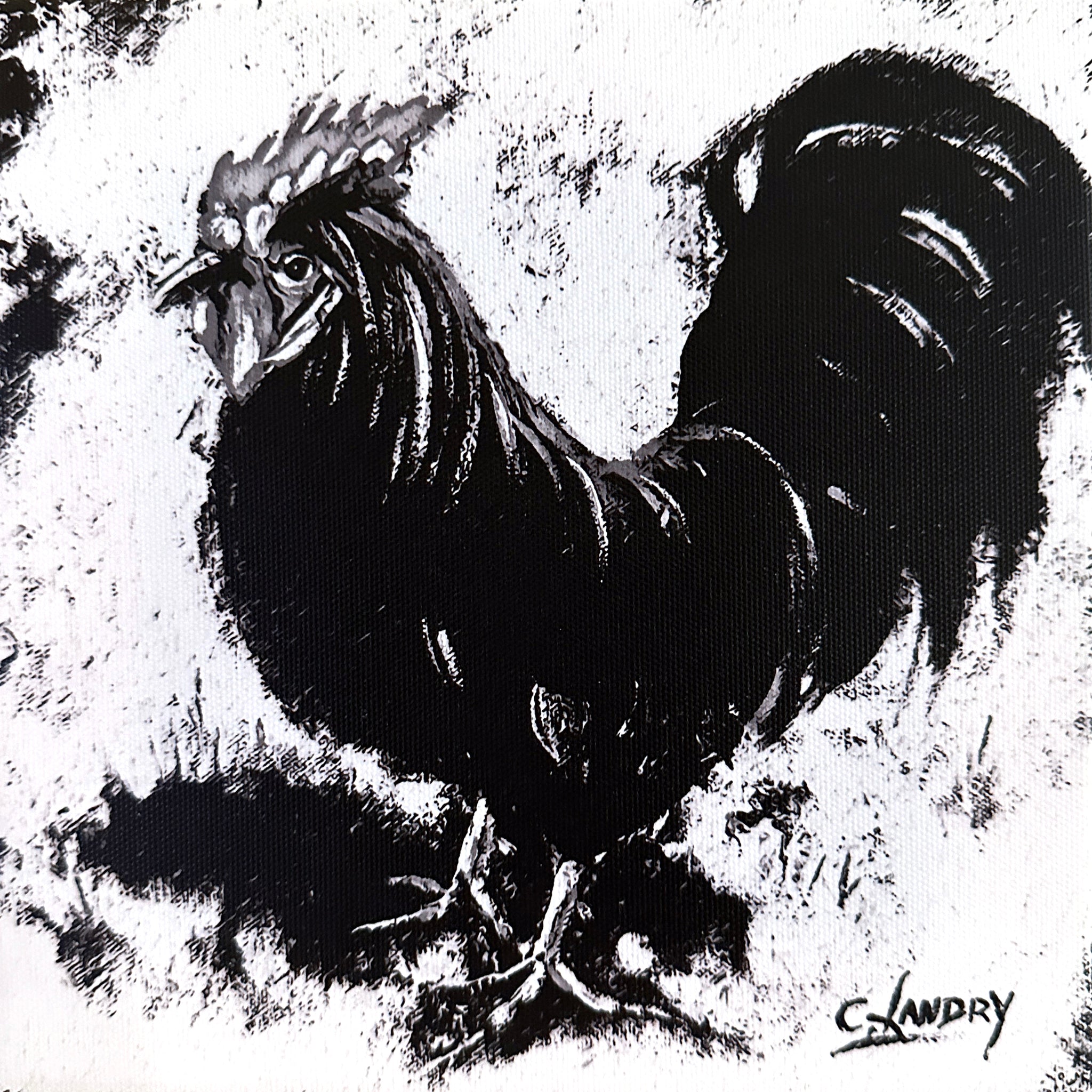 Rooster Wall Art, 'Black & White Rooster Design', 8"x 8" Copy Canvas by Artist Carol Landry