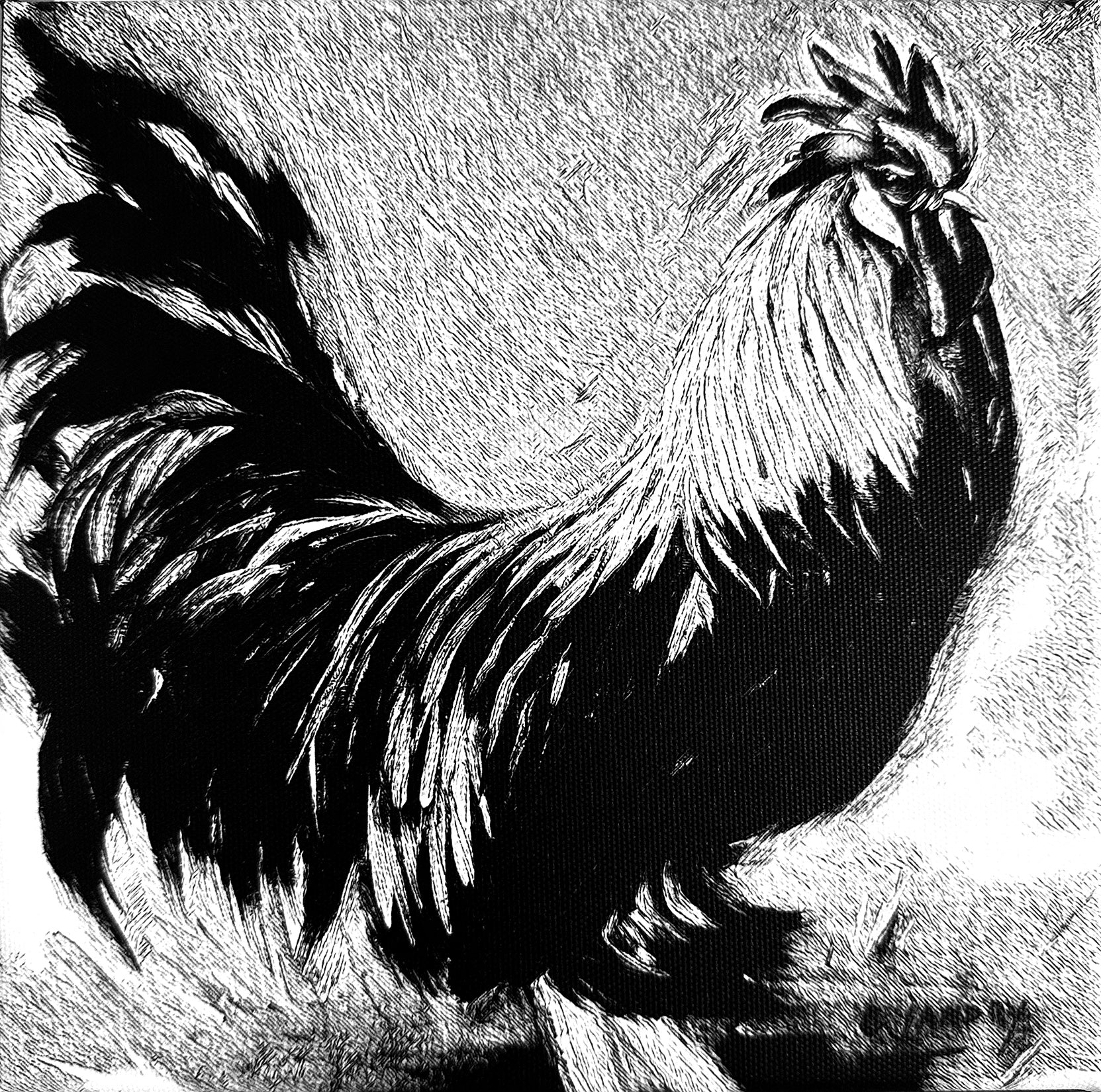 Rooster Design, Black & White, 8"x 8" Copy on Canvas