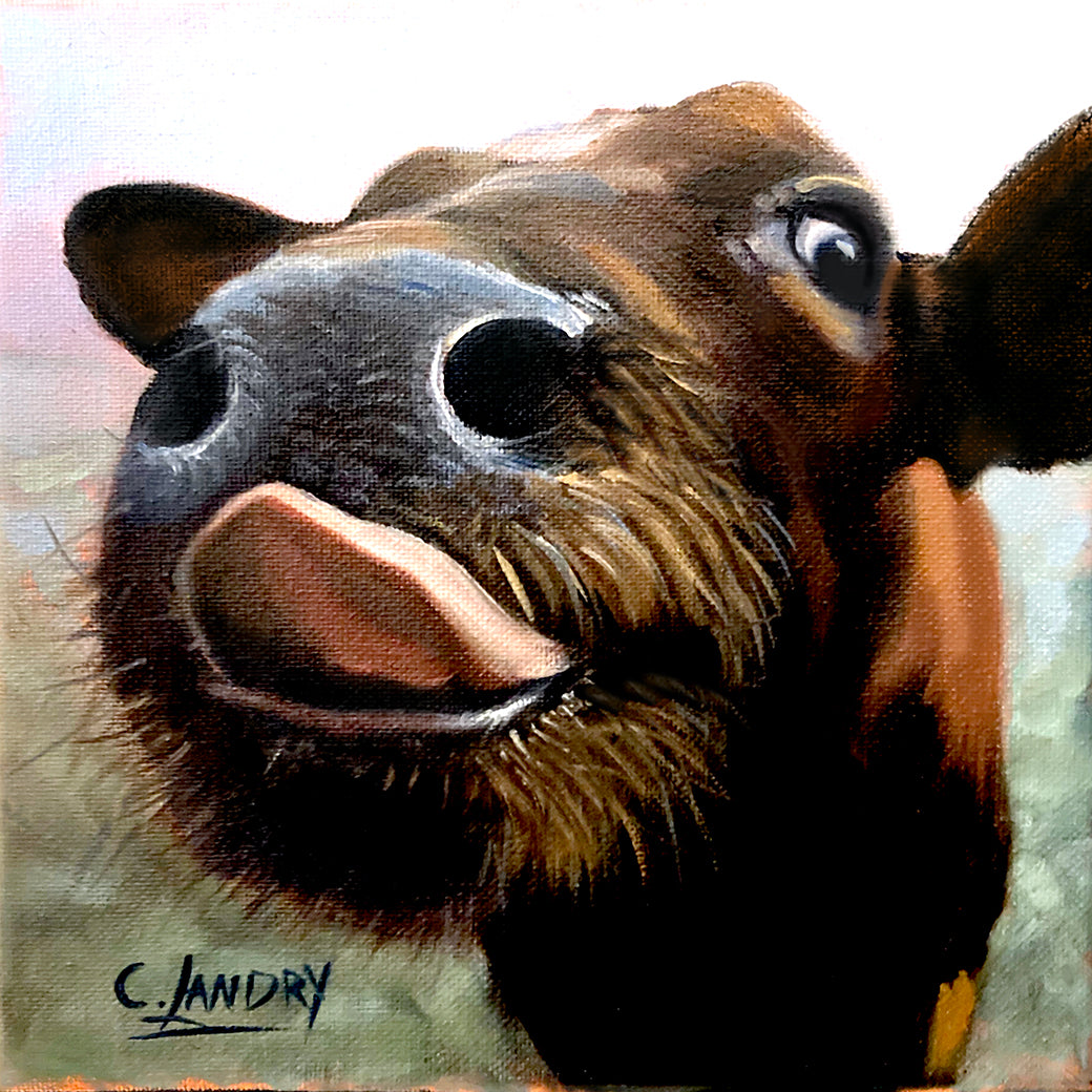 Cow Art, Whimsical Cow Art, 8"x 8" Reproduction, Painted by Artist Carol Landry