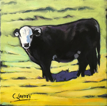 Moo Moo 2, Cow on Canvas, Reproduction 12"x12"