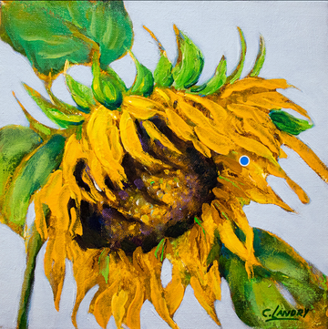 Sunflower Wall Art, CLEARANCE , 12"x 12" on Canvas, Artist Carol Landry