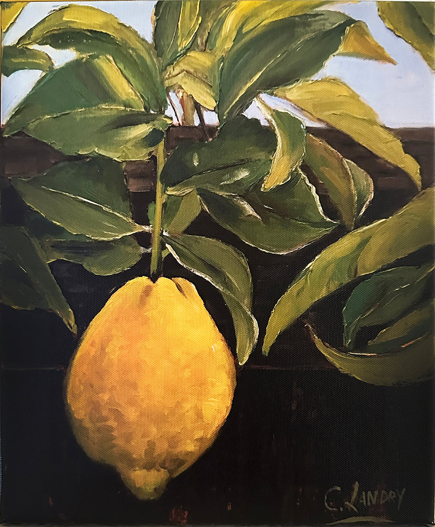 Lemon Painting, 'Lemon Solo', Painted by Artist Carol landry, 10"x 12", Copy on Canvas