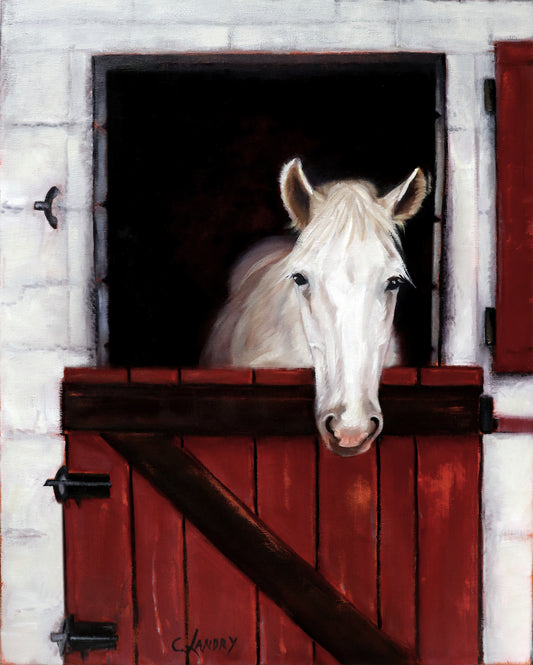 Horse Painting, 'French Horse', by Artist Carol Landry, Reproduction on a 16