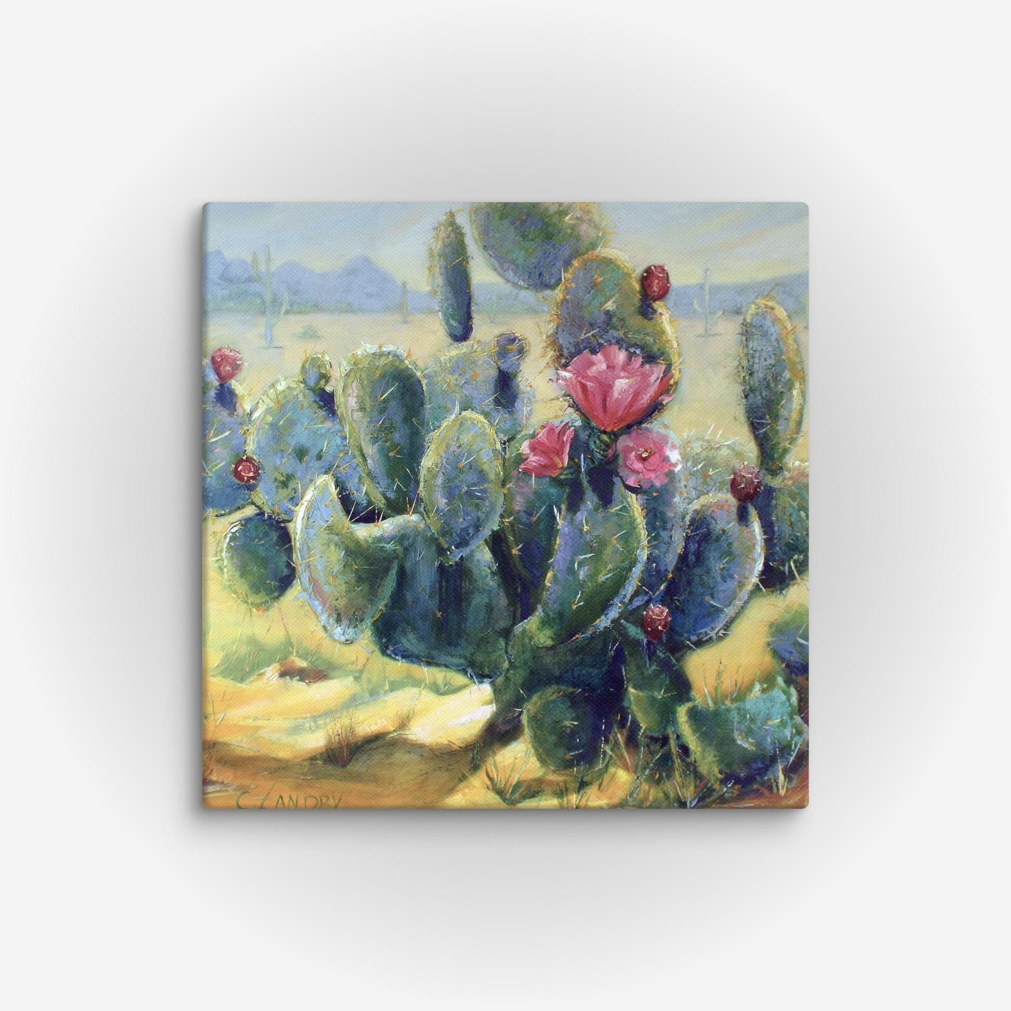 Cactus Art on Canvas, 'Pink Bloom in the Desert', by Artist Carol Landry