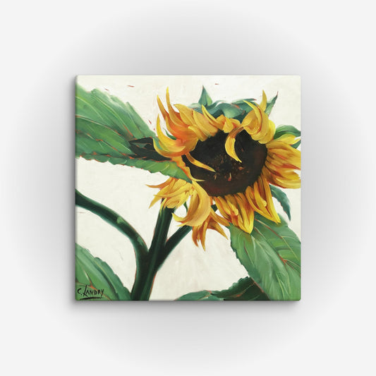 Sunflower Art Reproduction on a Wrapped Canvas, 3 sizes, by Artist Carol Landry