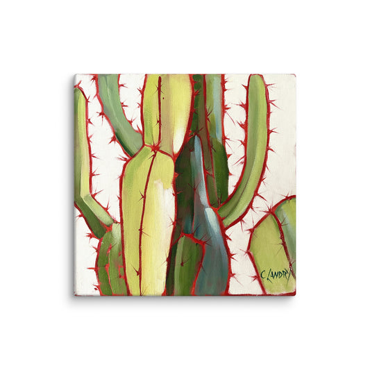 Abstract Cactus, Reproductions of Original on wrapped Canvas by Artist Carol Landry