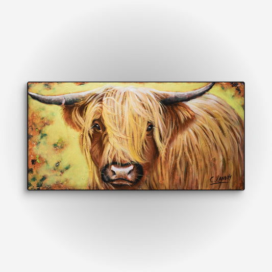 Scottish Cow Reproduction on Canvas by Artist Carol Landry