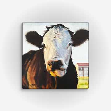 Cow Art Reproduction, 'Buddy', by Artist Carol Landry